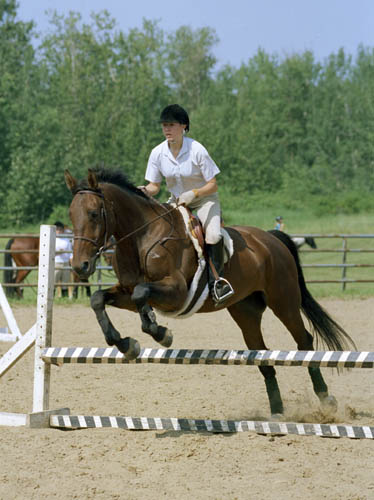 Luxardo in Hunter ring at local fun Show, Summer 2001